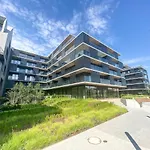 Apartament Ingoo Wroclaw